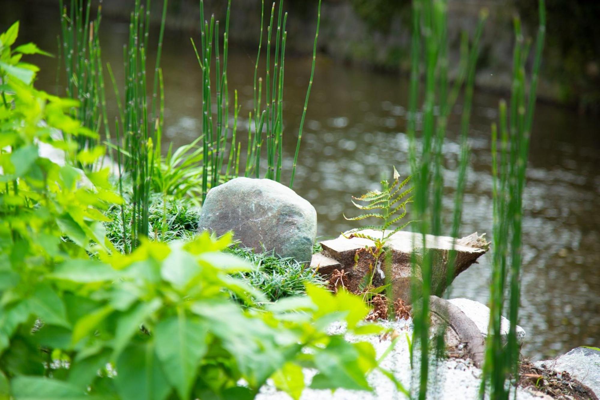 Kyoto Takasegawa Bettei - Vacation Stay 08062V Ngoại thất bức ảnh